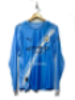 Manchester City Home Jersey 2025/2026  Long Sleeve